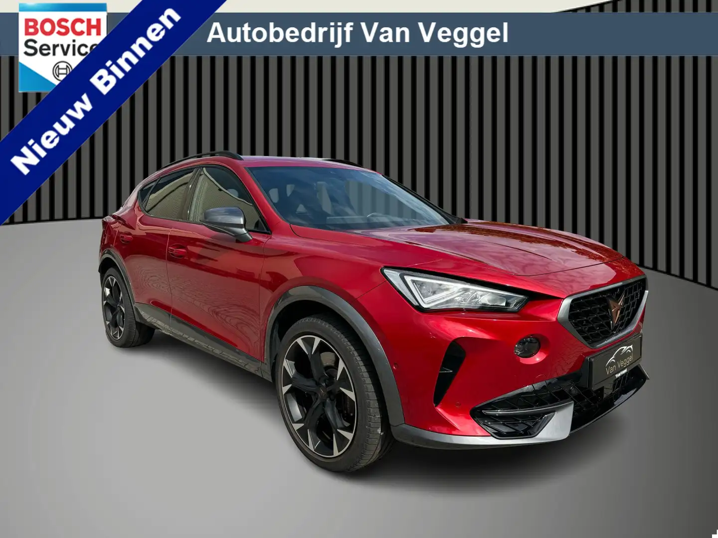 CUPRA Formentor 1.4 e-Hybrid VZ Performance 245 Pk cruise, navi, c Rojo - 1