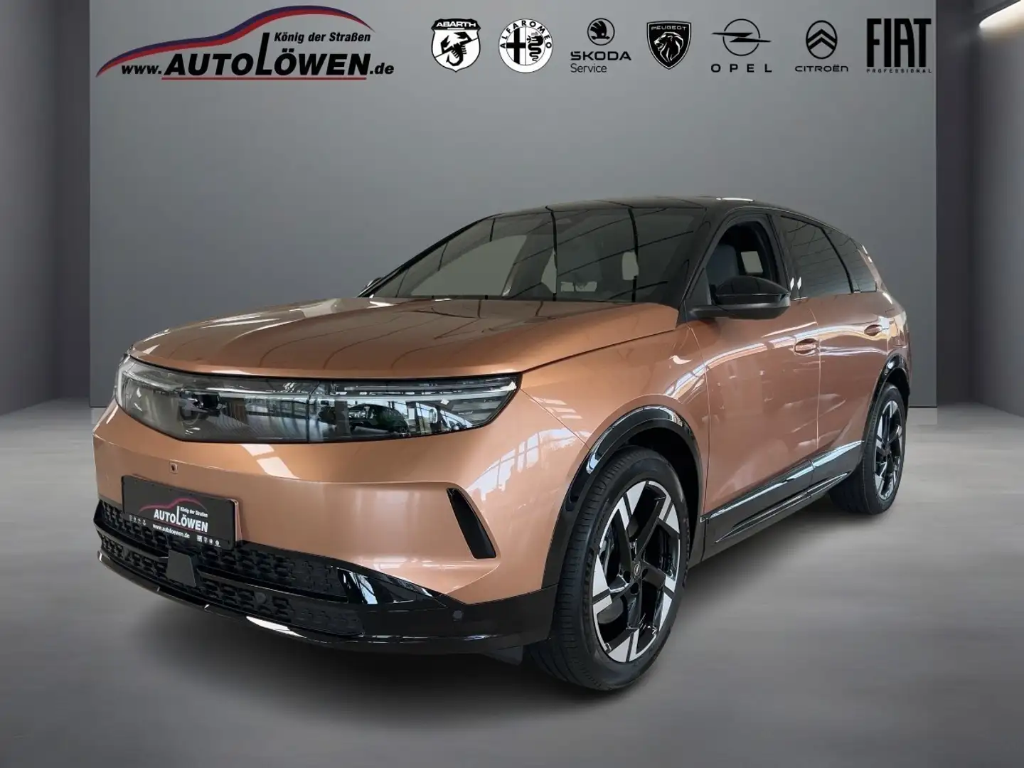 Opel Grandland X Electric GS Бронзовий - 1