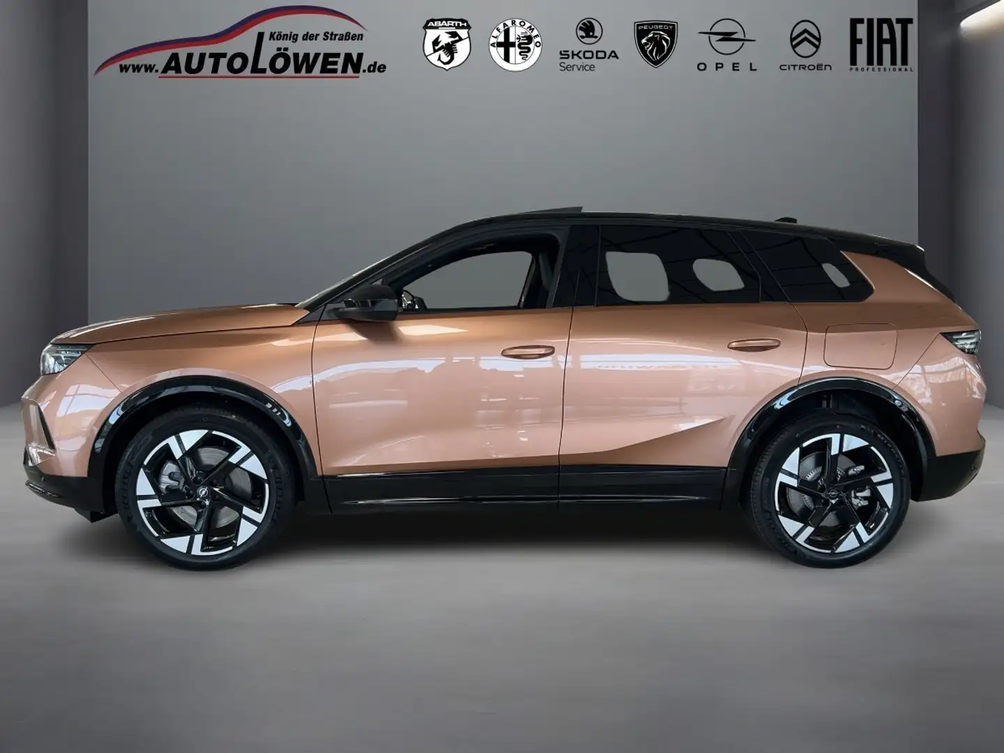 Opel Grandland X Electric GS Бронзовий - 2