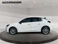 Opel Corsa F 1.2 Turbo Elegance LED Navi KeyLess Weiß - thumbnail 10