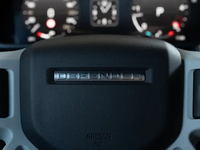 Land Rover Defender 110 X-DYN SE 3.0 250 AWD Ansicht 32