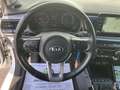 Kia Rio 1,0 TGDI GPF Silber ISG Navi Kamera Weiß - thumbnail 16