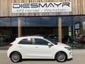 Kia Rio 1,0 TGDI GPF Silber ISG Navi Kamera Weiß - thumbnail 6