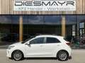 Kia Rio 1,0 TGDI GPF Silber ISG Navi Kamera Weiß - thumbnail 2