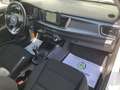 Kia Rio 1,0 TGDI GPF Silber ISG Navi Kamera Weiß - thumbnail 11