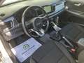 Kia Rio 1,0 TGDI GPF Silber ISG Navi Kamera Weiß - thumbnail 9