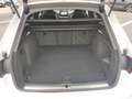Audi A4 Avant 45 TFSI q. S-Tronic S-Line 2x, Matrix, Bianco - thumbnail 13
