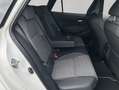 Toyota Corolla 2.0 Hybrid Touring Sports Teamplayer Grau - thumbnail 20