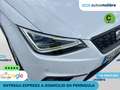 SEAT Ibiza 1.0 TSI S&S Style 110 Bianco - thumbnail 9