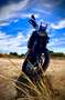 Aprilia Tuareg Fekete - thumbnail 1