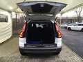 Dacia Jogger 1.0 TCE 100 Expression LPG-Gas/1.Hd/Klima Weiß - thumbnail 8