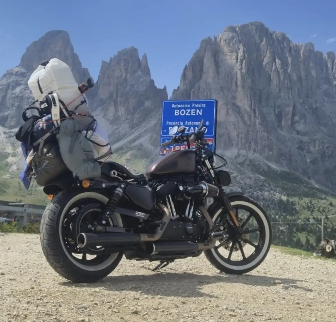 Harley-Davidson Iron 1200 Marrón - 2