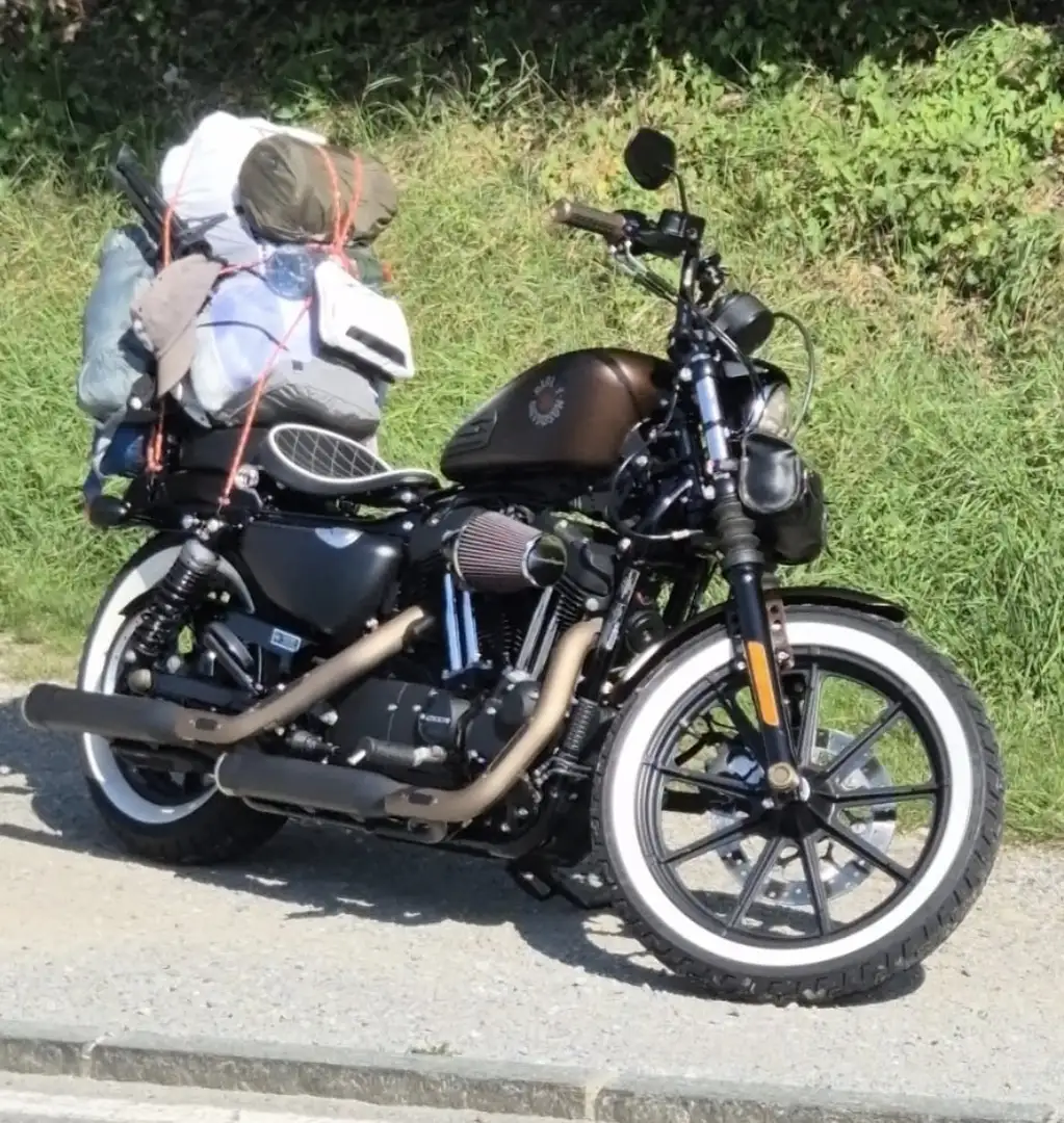 Harley-Davidson Iron 1200 Marrón - 1