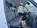 Fiat Ducato L2H2 3.5T 2.2TURBO D 140PK * AUTOMAAT * WORKSITE P Blanc - thumbnail 9