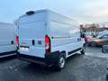 Fiat Ducato L2H2 3.5T 2.2TURBO D 140PK * AUTOMAAT * WORKSITE P Blanc - thumbnail 3