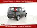Fiat Panda 1.0 firefly hybrid Icon s&s 70cv 5p.ti Nero - thumbnail 3