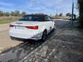 Audi A3 Cabrio 2.0TDI Ambiente - thumbnail 5