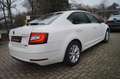 Skoda Octavia 1,4 G-TEC CNG Lim. Ambition 1.Ha. Standh Weiß - thumbnail 6
