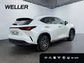 Lexus NX 350h E-FOUR Luxury Line *Pano*360*HUD*Navi*LED* Alb - thumbnail 12