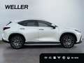 Lexus NX 350h E-FOUR Luxury Line *Pano*360*HUD*Navi*LED* Alb - thumbnail 8