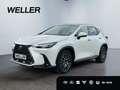 Lexus NX 350h E-FOUR Luxury Line *Pano*360*HUD*Navi*LED* Alb - thumbnail 1