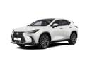 Lexus NX 350h E-FOUR Luxury Line *Pano*360*HUD*Navi*LED* Alb - thumbnail 15