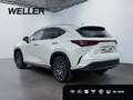 Lexus NX 350h E-FOUR Luxury Line *Pano*360*HUD*Navi*LED* Alb - thumbnail 7