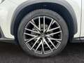 Lexus NX 350h E-FOUR Luxury Line *Pano*360*HUD*Navi*LED* Alb - thumbnail 13