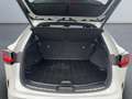 Lexus NX 350h E-FOUR Luxury Line *Pano*360*HUD*Navi*LED* Alb - thumbnail 10