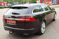 Jaguar XF 3.0 V6 Diesel Sportbrake Top Gepflegt S-Heft AHK Rojo - thumbnail 21