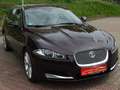 Jaguar XF 3.0 V6 Diesel Sportbrake Top Gepflegt S-Heft AHK Czerwony - thumbnail 6