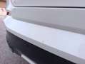 BMW X4 X4 xdrive 20d Msport Bianco - thumbnail 8