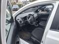 Hyundai i10 Weiß - thumbnail 7