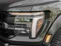 Ford F 150 2025 Raptor € 89700 FACELIFT! +B&O 18 SPEAKERS Grün - thumbnail 38