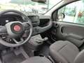 Fiat Panda 4x2 FireFly Hybrid 70 Schwarz - thumbnail 10
