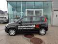 Fiat Panda 4x2 FireFly Hybrid 70 Schwarz - thumbnail 2