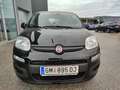 Fiat Panda 4x2 FireFly Hybrid 70 Schwarz - thumbnail 7