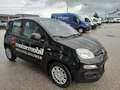 Fiat Panda 4x2 FireFly Hybrid 70 Schwarz - thumbnail 6