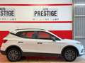 SEAT Arona Arona 1.0 ecotsi Reference 95cv Benz/Metano Bianco - thumbnail 7