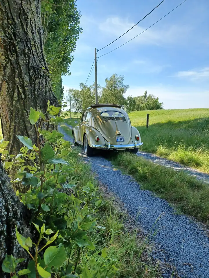 Volkswagen Kever Ovaal, foto 3