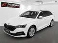 Skoda Octavia Combi 2,0 TDI 4x4 Ambition DSG | 1.BESITZ | MwS... Weiß - thumbnail 1