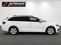 Skoda Octavia Combi 2,0 TDI 4x4 Ambition DSG | 1.BESITZ | MwS... Weiß - thumbnail 5