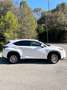 Lexus NX 300h Corporate 2WD Blanco - thumbnail 2