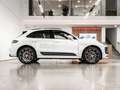 Porsche Macan GTS *V6*LUFT*PANO*MATRIX-LED*BOSE*21-ZOLL* Weiß - thumbnail 17