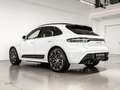 Porsche Macan GTS *V6*LUFT*PANO*MATRIX-LED*BOSE*21-ZOLL* Weiß - thumbnail 12
