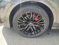 Audi Q8 50 TDI quattro Grau - thumbnail 9
