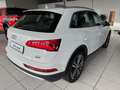 Audi Q5 Quattro Design Leder*Pano*Tempo*Kamera*LED Weiß - thumbnail 3