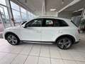 Audi Q5 Quattro Design Leder*Pano*Tempo*Kamera*LED Weiß - thumbnail 8