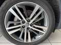 Audi Q5 Quattro Design Leder*Pano*Tempo*Kamera*LED Weiß - thumbnail 9