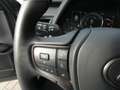 Lexus UX 250h HYBRID F-Sport Design +Leder GPS Carplay Dodehoek Grijs - thumbnail 23